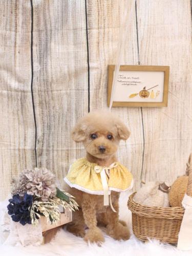 20241022ノアちゃん